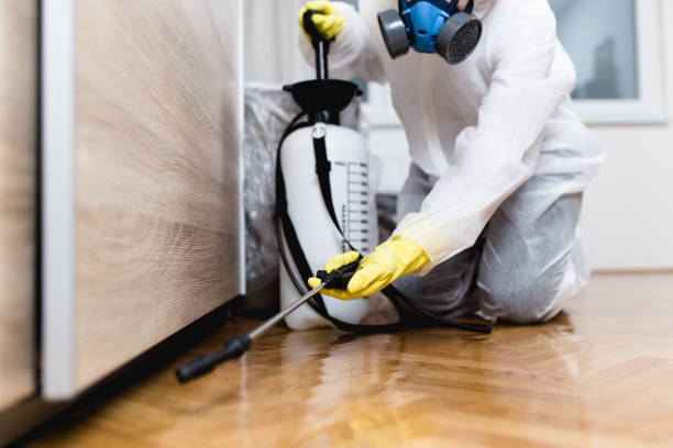 Best Affordable Pest Control Services  in Crothersville, IN