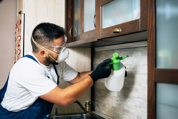 Best Best Pest Control Companies  in Crothersville, IN