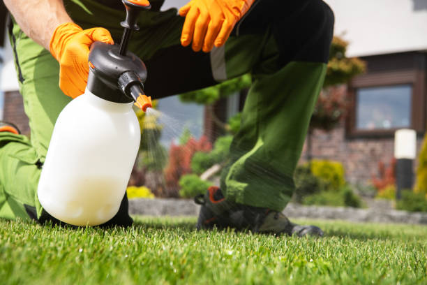 Best Wasp Removal Services  in Crothersville, IN