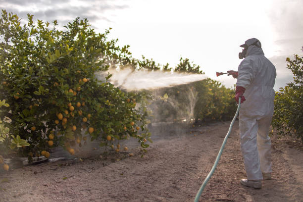 Best Wildlife Control Services  in Crothersville, IN