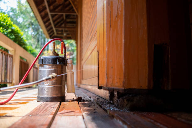 Best Pest Prevention Services  in Crothersville, IN