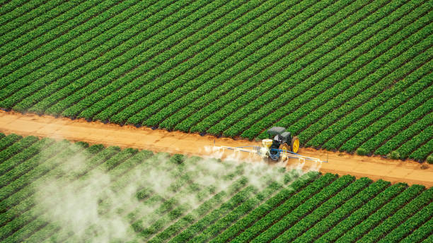 Best Insect Control  in Crothersville, IN