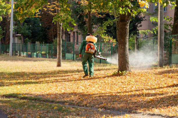 Best Pest Control Near Me  in Crothersville, IN