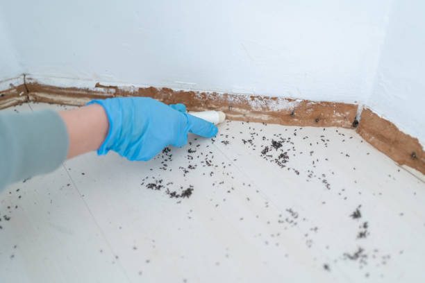 Best Residential Pest Control  in Crothersville, IN