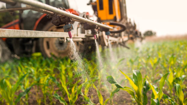 Best Best Pest Control Companies  in Crothersville, IN